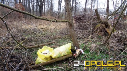 Wyrzucił śmieci do lasu. Służby szybko znalazły śmieciarza, bo zostawił dane