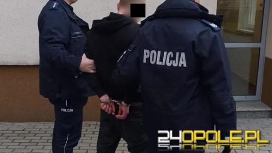 Znieważył policjantkę i kierował wobec niej groźby, następnie zaproponował jej łapówkę 