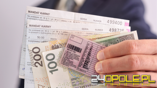 Ponad miliard złotych z mandatów zasilił budżet państwa. Czy w 2023 pobijemy rekord z 2022?