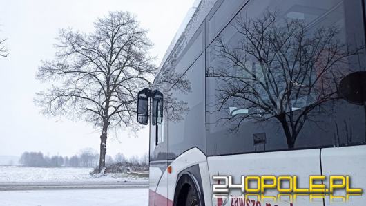 Autobusy miejskie nie radzą sobie z trudnymi warunkami zimowymi