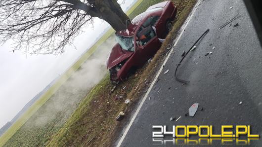 Samochód uderzył w drzewo na trasie Stradunia-Żużela