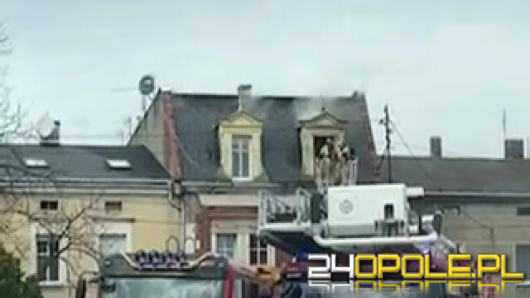 Pożar mieszkania w Prószkowie. Na miejscu 9 zastępów straży 