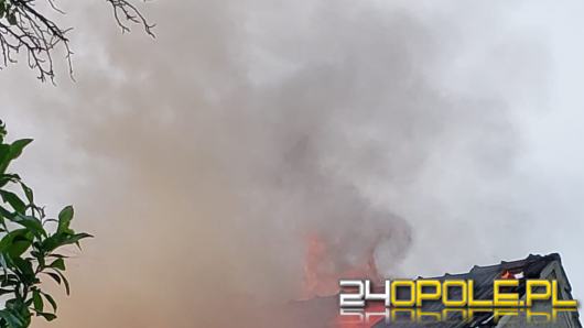Pożar pustostanu w gminie Ozimek. W akcji sześć zastępów straży