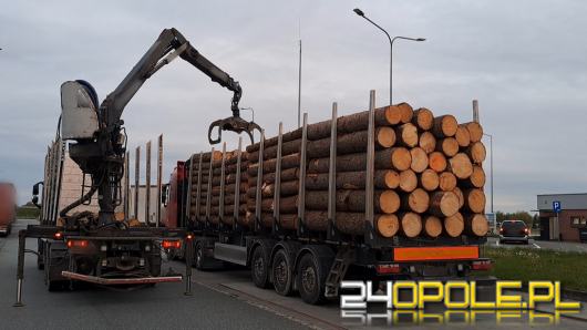 Przewóz drewna na lupie WITD. Posypały się mandaty i kary