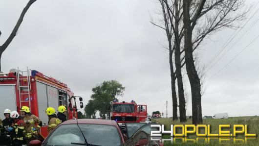 Kierowca citroena uderzył w drzewo. Niebezpieczne zdarzenie na DK 42