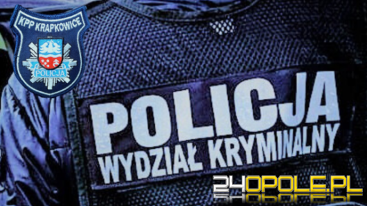 Poszukiwany za kradzieże z włamaniami - zatrzymany