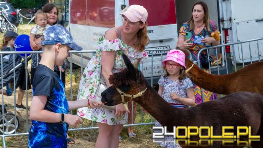 Powitanie wakacji z PPO na pikniku rodzinnym. Gwiazdą imprezy będzie Cleo! 