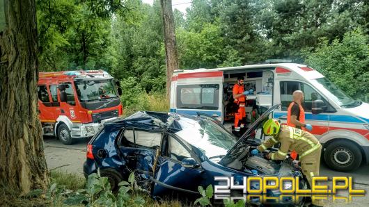 Auto wypadło z drogi i uderzyło w drzewo. Kierowca kompletnie pijany