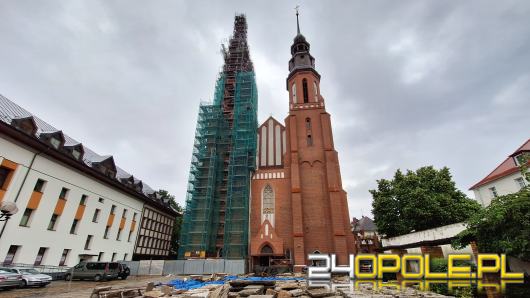 Po 7 miesiącach archeolodzy wrócili do Katedry