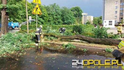 Ponad 50 interwencji strażaków na Opolszczyźnie po burzach