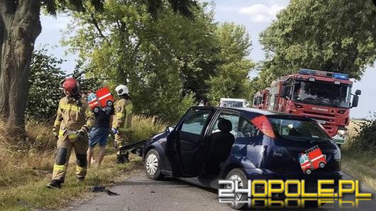 Zderzenie Opla i Forda na trasie Łosiów - Jasiona