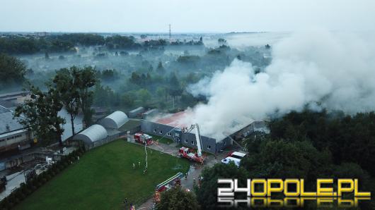 Pożar magazynu na ulicy Wspólnej w Opolu. Z ogniem walczy 12 zastępów straży