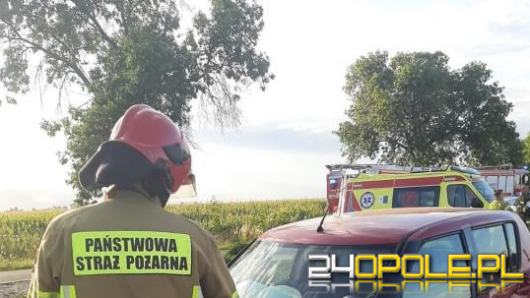 Tragiczny wypadek pod Niemodlinem. Nie żyje 23-latek