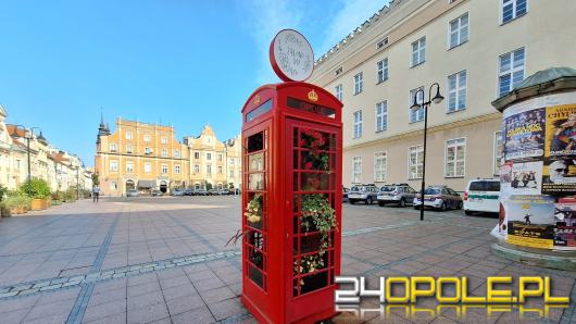 Londyński akcent opolskiego rynku nową "donicą" na kwiaty