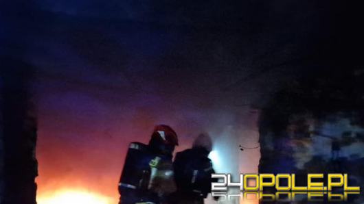 Nocna akcja strażaków w Kędzierzynie-Koźlu. Płonął pustostan