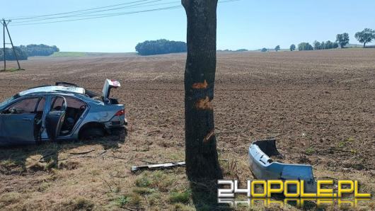 Nietrzeźwy 39-latek rozbił auto na drzewie i uciekł