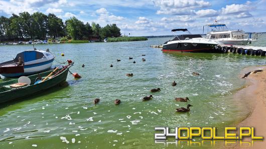 "Jeśli zostanę posłem, jezioro duże w Turawie będzie czyste" - mówi Piotr Mielec