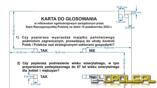 Referendum 2023: zasady, odmowa, ważność głosu, pytania