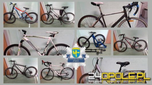 Złodziej rowerów zatrzymany - policja publikuje zdjęcia zabezpieczonych rowerów