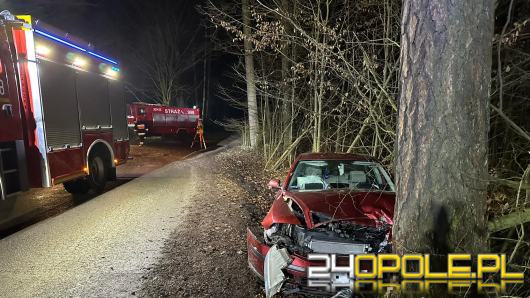 Wjechał osobówka w drzewo - 3 osoby zabrane do szpitala