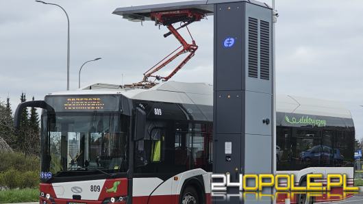 Autobusy MZK wracają na swoje trasy po remoncie ulicy Prószkowskiej
