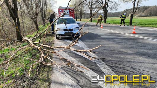 23 zdarzenia spowodowane silnym wiatrem w województwie opolskim