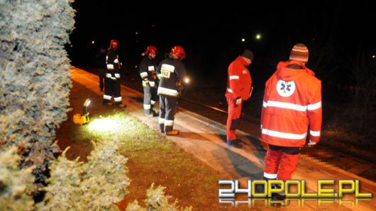 Dziewiętnastoletni mężczyzna wpadł pod pociąg na stacji Wilków Dworcowa