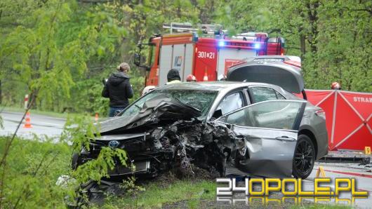 Opolska Policja szuka świadków śmiertelnego wypadku 