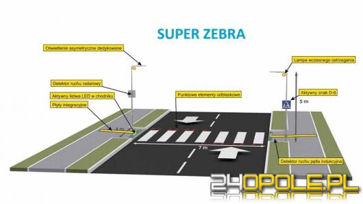 MZd prowadzi przetarg na budowę dwóch bezpiecznych przejść dla pieszych pn. "Super zebra"