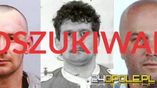 Wizerunek osób poszukiwanych listami gończymi