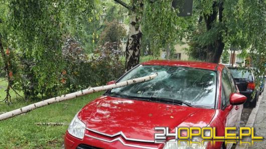 Piątkowa ulewa spowodowała zniszczenia w Opolu