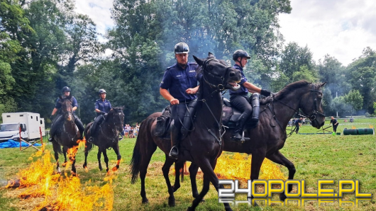 Obchody Święta Policji w Strzelcach Opolskich. Było hucznie i rodzinnie