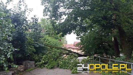  Burze nad Opolszczyzną spowodowały 89 interwencji strażaków 