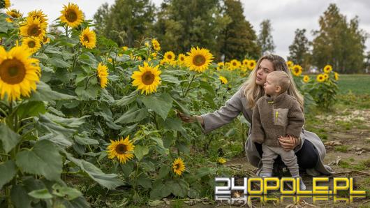 Matka - pierwsza miłość, pierwszy autorytet. Dzień Matki jako święto serca i pamięci