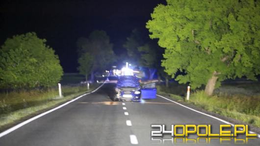 Wypadek w Skarbiszowie na DK94 - potrącenie śmiertelne pieszego