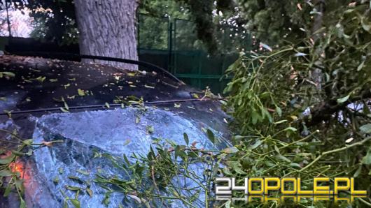 Ponad 230 zgłoszeń do straży po burzach (Aktualizacja)