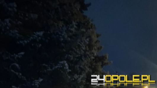 Obywatel Kolumbii włamał się do domu w niedzielną noc. Zatrzymali go domownicy