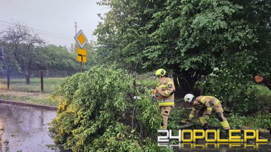 Bilans burzowej nocy na Opolszczyźnie: najwięcej interwencji w powiecie opolskim