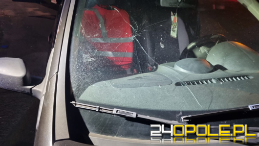 Prowadziła pijana i z pękniętą przednią szybą auta. Pijana kobieta w rękach policji