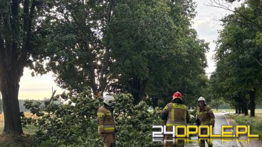 Burze nad regionem - ponad 60 interwencji strażaków, najwięcej w Opolu i okolicach