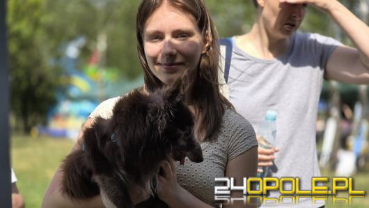 Rodzinny Zwierzopiknik 2025 trwa na Błoniach Politechniki Opolskiej