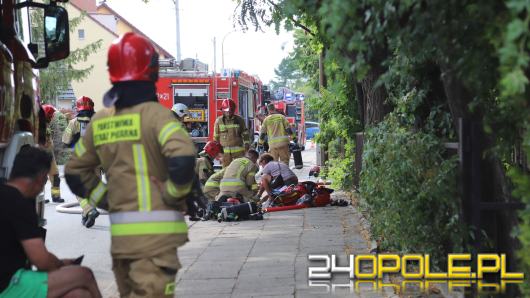 Pożar domu w Opolu - jedna osoba w szpitalu, koty uratowane przez strażaków