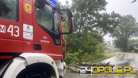 Uspokojenie po burzach. Opolskie z łagodnym bilansem nocnych opadów