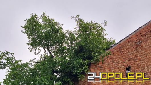 Burze nad regionem: strażacy interweniowali 34 razy, uszkodzone dachy w kilku miejscowościach
