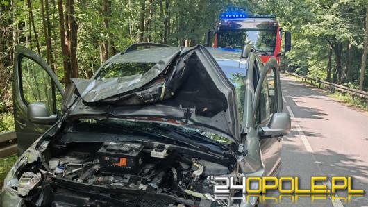 Konar runął na auto na trasie Pokój - Krzywa Góra