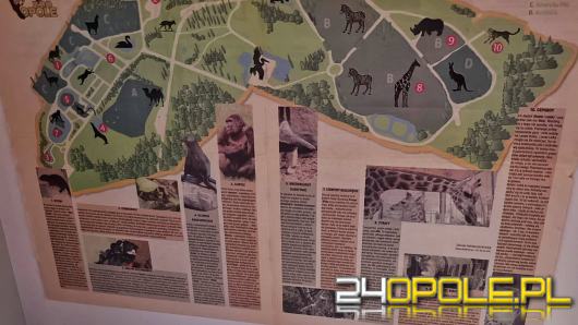 Zoo w Opolu kończy 72 lata - zobacz jaka niespodzianka czeka z tej okazji 