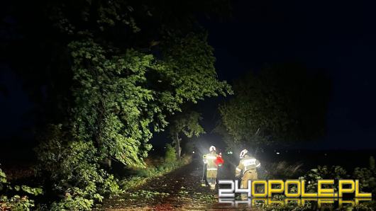 Silny wiatr i opady spowodowały 13 interwencji strażaków w regionie
