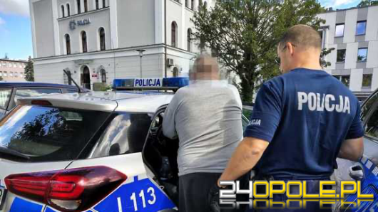 Zabił trzy szczeniaczki, czwarty cudem przeżył. 64-latek w rękach policji (WIDEO)