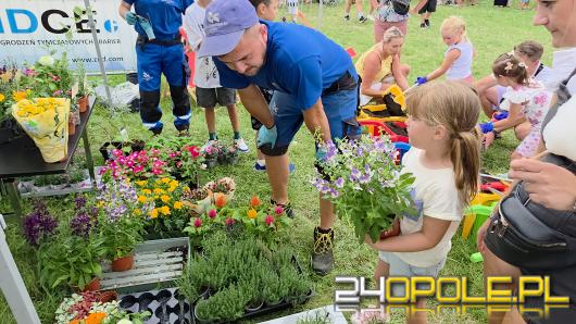 Rodzinny piknik na Orliku Malinka. Trwa świętowanie półmetka wakacji i 25-lecia klubu Wiking