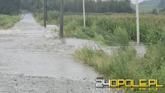 Strażacy interweniowali już 55 razy. Najwięcej zgłoszeń z powiatu nyskiego 